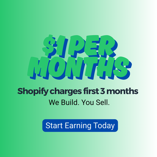 Ready-to-Sell Shopify Store